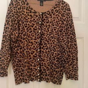 Leopard cardigan with gold buttons and black lace.
